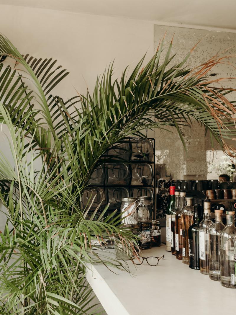 Hôtel Casa Pueblo Tulum Extérieur photo